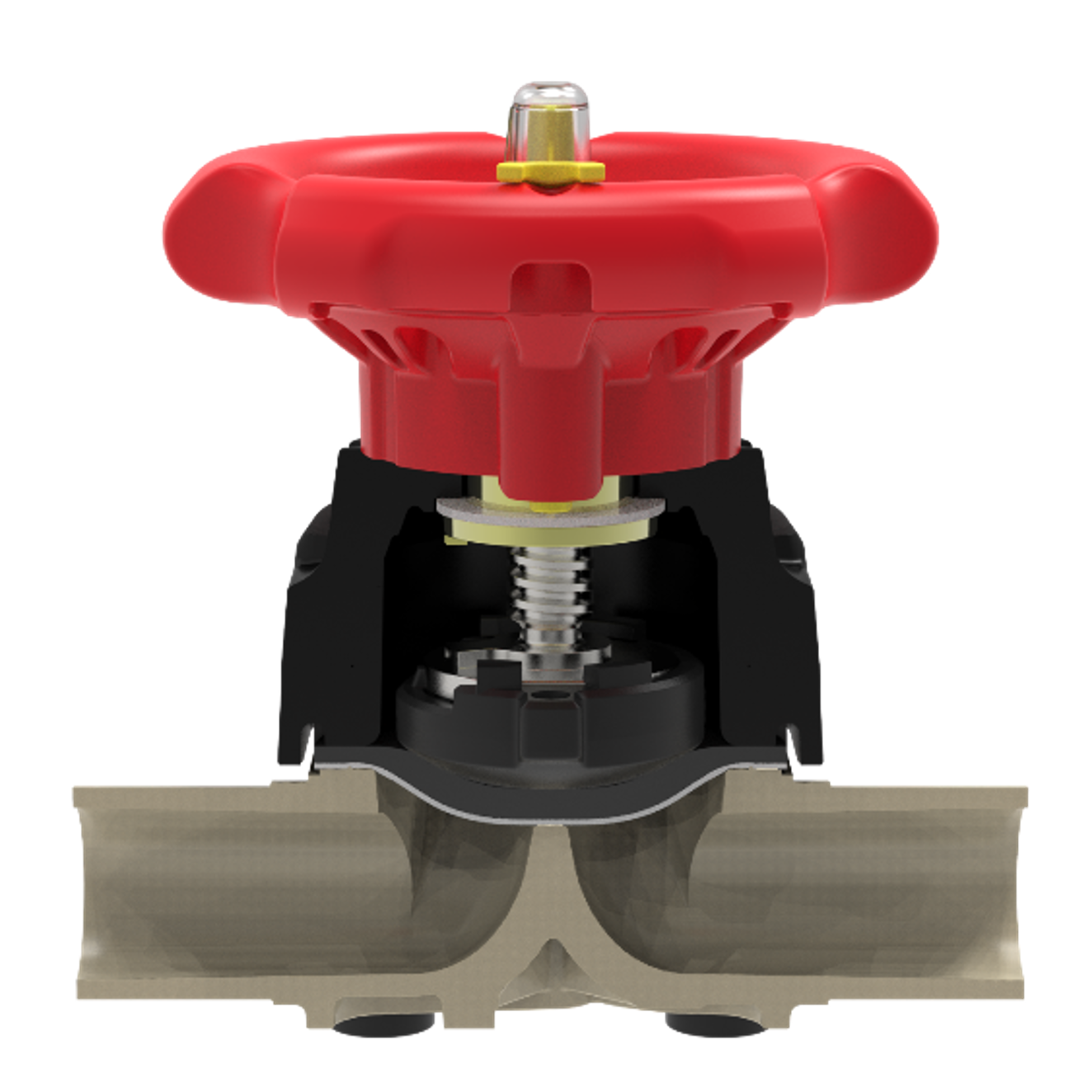 Praher T4 Series 2-Way Diaphragm Valves - cutout view